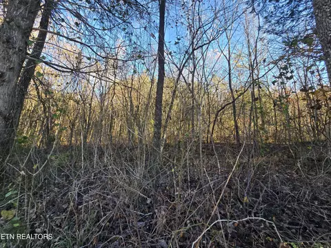 Haley Rd, Ewing, VA 24248 photo 16