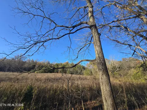 Haley Rd, Ewing, VA 24248 photo 9