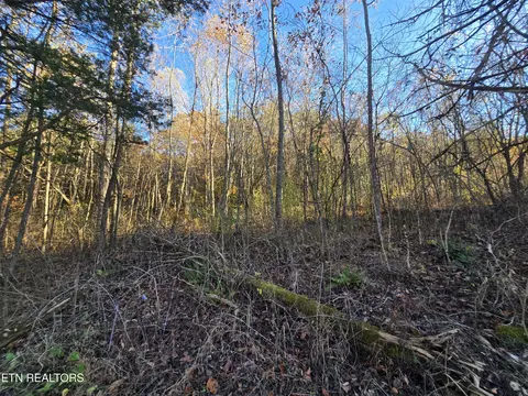 Haley Rd, Ewing, VA 24248 photo 15