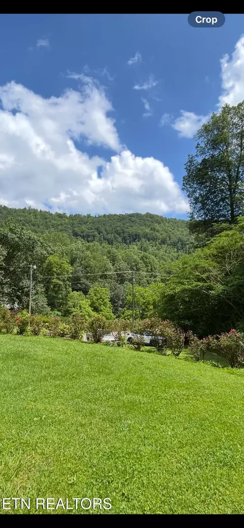 Walden Ridge Rd, Briceville, TN 37710