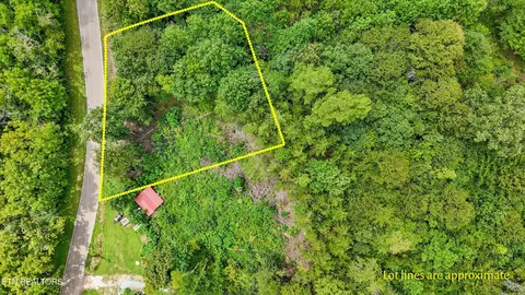 424 Unicoi Church Rd, Tellico Plains, TN 37385