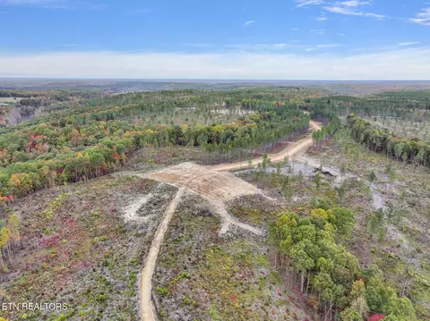 Davis Rd., Sunbright, TN 37872 photo 13