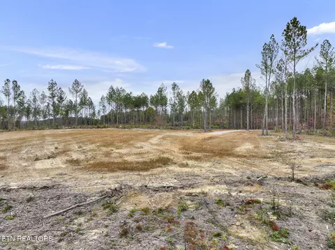 Davis Rd., Sunbright, TN 37872 photo 7