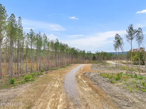 Davis Rd., Sunbright, TN 37872 photo 11