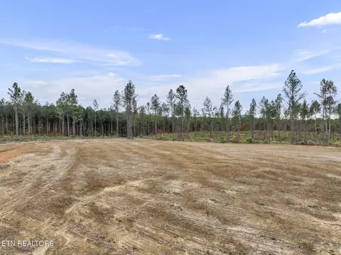 Davis Rd., Sunbright, TN 37872 photo 5