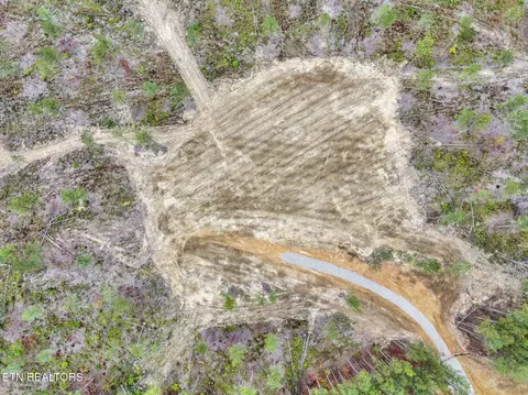 Davis Rd., Sunbright, TN 37872 photo 6