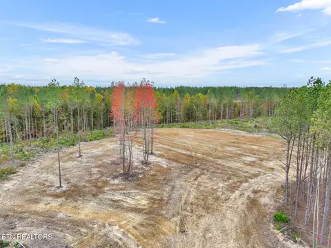 Davis Rd., Sunbright, TN 37872 photo 8