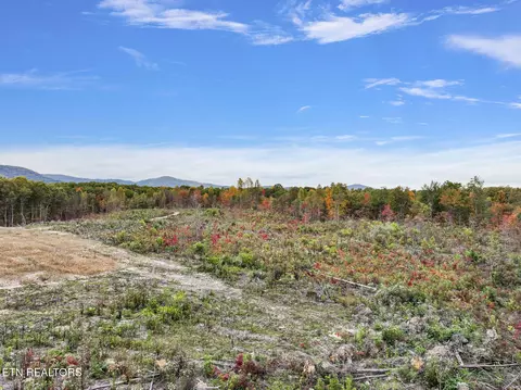 Davis Rd., Sunbright, TN 37872 photo 14