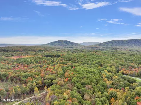 Davis Rd., Sunbright, TN 37872 photo 12