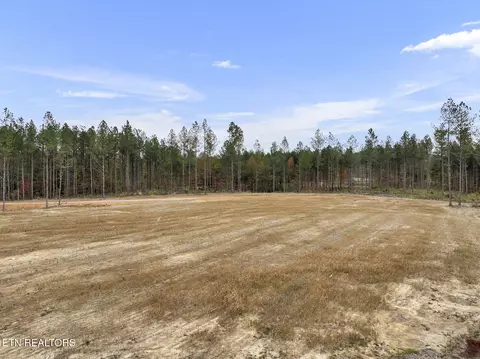 Davis Rd., Sunbright, TN 37872 photo 4