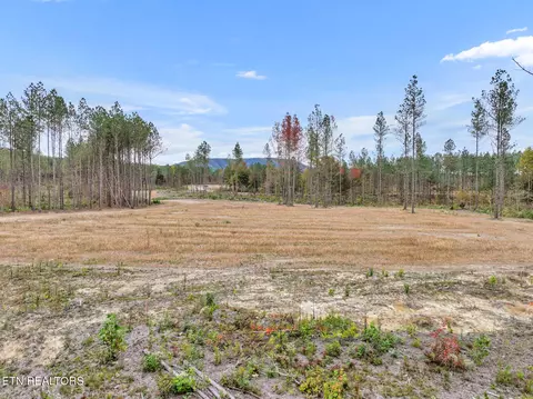 Davis Rd., Sunbright, TN 37872 photo 9