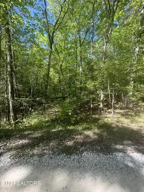 0 Lake Overlook Dr, Spring City, TN 37381