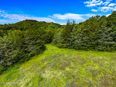 lot7 Lonesome Pine Rd, Bybee, TN 37713