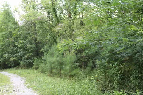 299 Fair Oaks Ln, Jamestown, TN 38556