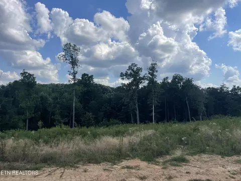 lot19 Laura Boling Loop Rd, Strawberry Plains, TN 37871
