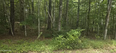 13 Yorkshire Ter, Crossville, TN 38558