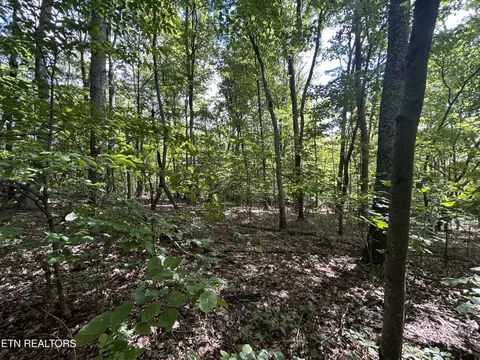 lot S 56 Clint Williams Rd, Rutledge, TN 37861