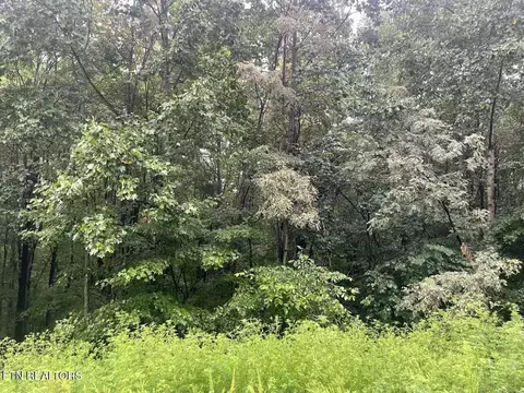 Whistle Valley Rd, New Tazewell, TN 37825