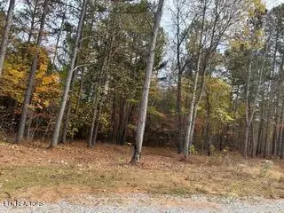 440 Cody Ln, Madisonville, TN 37354
