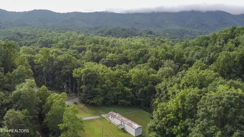 2920 Grapevine Hollow Rd, Dandridge, TN 37725