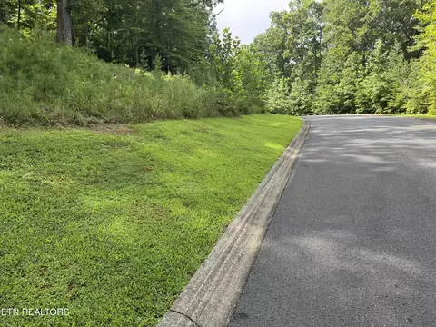Cove Springs Drive, Dandridge, TN 37725