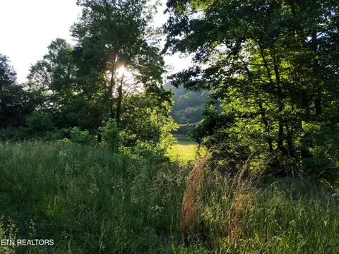 tbd Main St #LOT 6, Sneedville, TN 37869