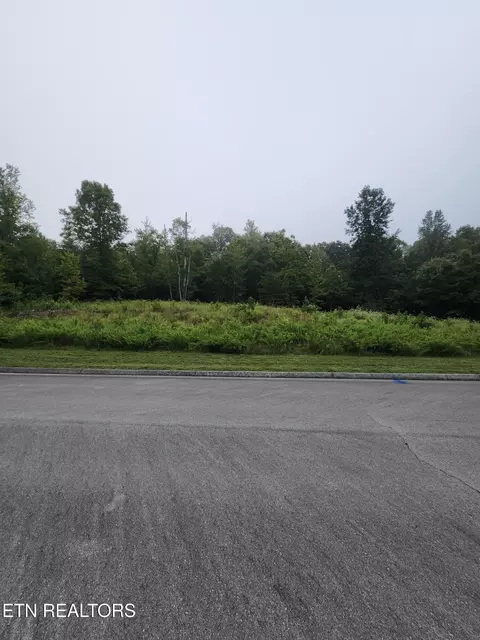 302 Caney View Dr, Harriman, TN 37748