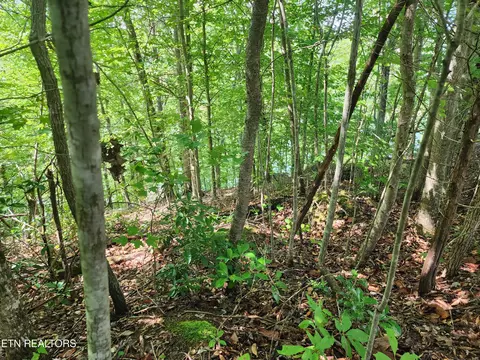 26 Lot Rockfish Pt, New Tazewell, TN 37825