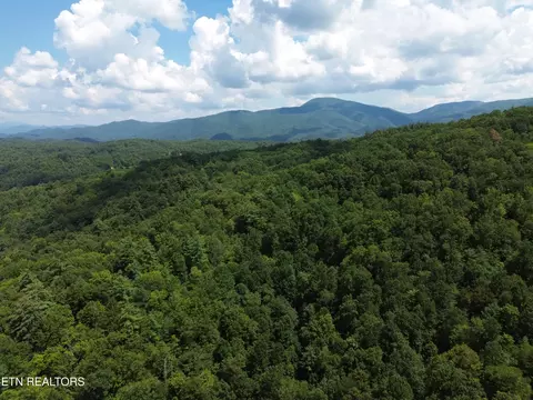 Bull Mountain Rd, Del Rio, TN 37727