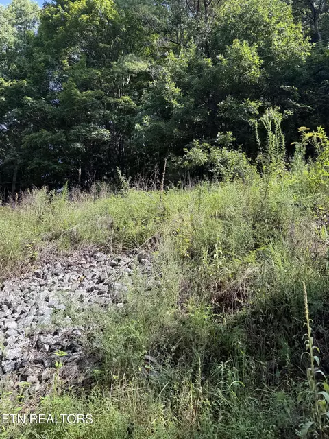 115 Hughes Hollow Rd, Philadelphia, TN 37846