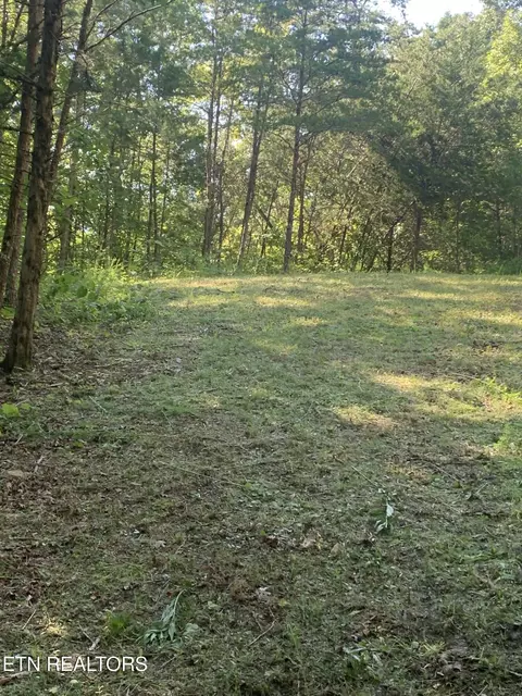 Vera Lane, Dandridge, TN 37725