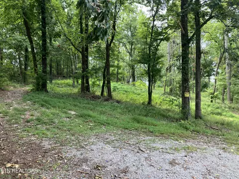 lot8 Grandview Ln, New Tazewell, TN 37825