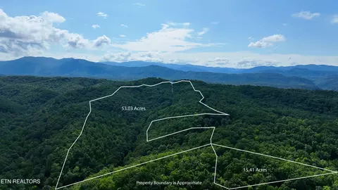 250 Seng Garden Rd, Tellico Plains, TN 37385