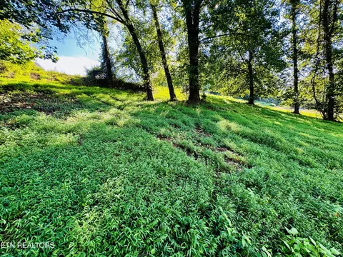lot207 Clyde Ed Rd, Kodak, TN 37764
