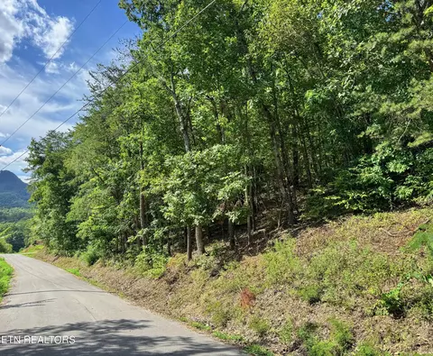 Helton Rd, Sevierville, TN 37876