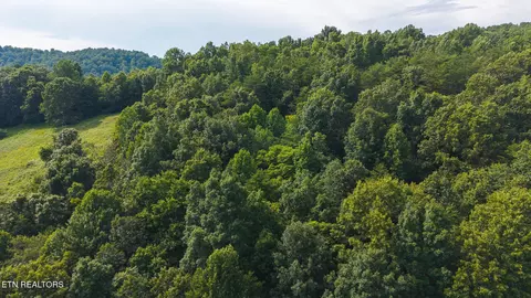 0 Gravely Valley Rd, Eidson, TN 37731 photo 2