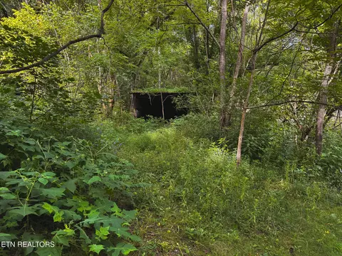 0 Gravely Valley Rd, Eidson, TN 37731 photo 28