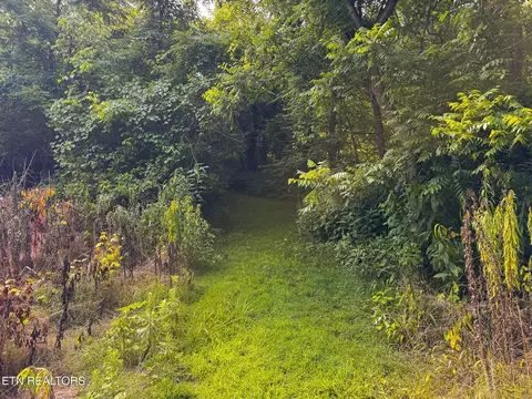 0 Gravely Valley Rd, Eidson, TN 37731 photo 30