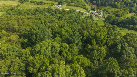 0 Gravely Valley Rd, Eidson, TN 37731 photo 15