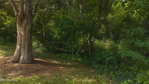0 Gravely Valley Rd, Eidson, TN 37731 photo 20