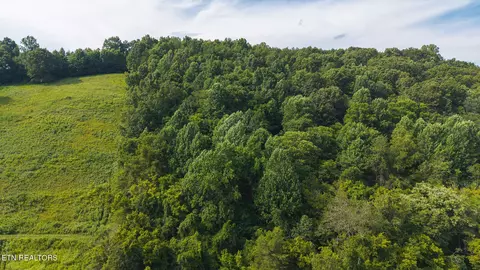 0 Gravely Valley Rd, Eidson, TN 37731 photo 7