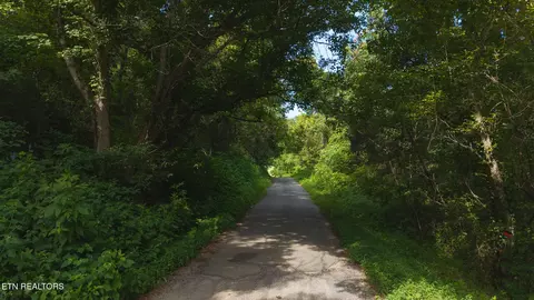 0 Gravely Valley Rd, Eidson, TN 37731 photo 23