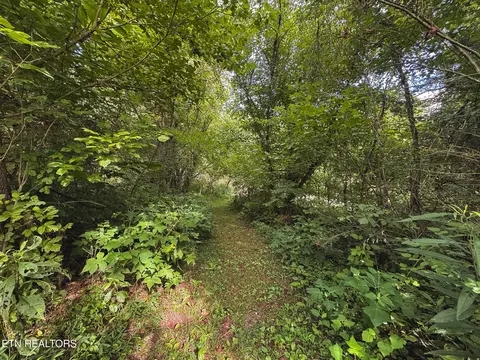 0 Gravely Valley Rd, Eidson, TN 37731 photo 27