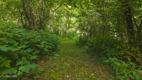 0 Gravely Valley Rd, Eidson, TN 37731 photo 4