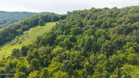 0 Gravely Valley Rd, Eidson, TN 37731 photo 19