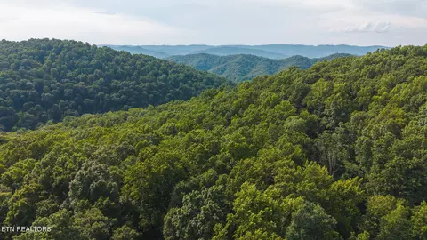 0 Gravely Valley Rd, Eidson, TN 37731 photo 8