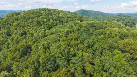 0 Gravely Valley Rd, Eidson, TN 37731 photo 12