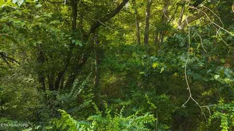 0 Gravely Valley Rd, Eidson, TN 37731 photo 22
