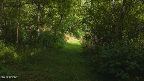 0 Gravely Valley Rd, Eidson, TN 37731 photo 5