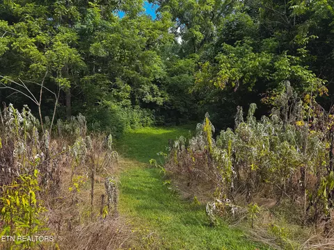 0 Gravely Valley Rd, Eidson, TN 37731 photo 29